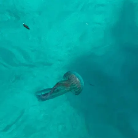 Camera Coniglio A 3* Lampedusa